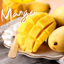 [바른팜] 항공직송 고당도 필리핀 망고 L 16개 5kg, 없음