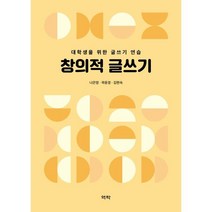 창의적 글쓰기 : 대학생을 위한 글쓰기 연습, 역락