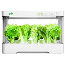 가정용 수경재배기 야채 스마트팜 채소 식물 키우기