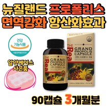 뉴질랜드 프로폴리스 알약 면역 영양제 목영양제 목이간질간질 항산화 식약처인증 건강기능식품 수험생 직장인 프롤폴리스 플로폴리스