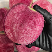 [국내산/국산] 수박무 과일무 1kg 3kg 5kg 산지직송 김장 보라색무 캔디무 캔디비트 수박비트 과일무 반딧불 방울무 무 무우 수박 과일