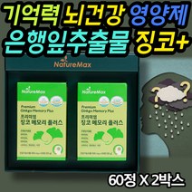 메모리 징코 프리미엄 은행잎 플라보놀 아연 추출물 기억력 foavonoid 징코라이드 빌로발라이드 기역력감퇴 혈행건강 깜빡깜빡 동시에 업무효율 항산화 세포보호