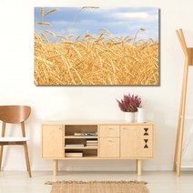 셀러허브 벼이삭 가을 와이드 풍경 사진 그림 액자 30호 91x57cm, 캔버스액자(옆면연장)
