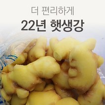 (특품) 국산 22년산 깐생강 손질 세척생강 1kg / 500g, 세척생강 일반 500g