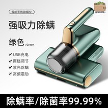 침대 청소기 침구 매트리스 세척 uv패브릭 클린 진공 스팀, 그린【진드기 제거율 99.9%】UV 자외선 살균★