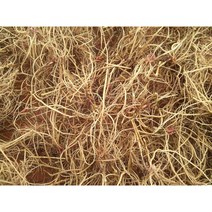 향산 국내산 우슬즙 110ml 60포, 60개, 혈당낮추는음식