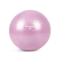 [바디포유] IW 밸런스 파스텔 짐볼 55cm 65cm 75cm, 65cm [라일락]