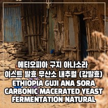 (커피생두) 264 에티오피아 구지 아나소라 이스트 발효 무산소 내추럴 1kg, 1개