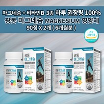 마그네비 마그비 윗 입술 한쪽 눈 눈밑 안면 손 떨림 저림 신경 근육 경련 증상 마그네슘정 식약처 인증 건강 기능 식품 비타민 b1 b2 b6 마그네슘 315 보충 영양제 90정, 2개