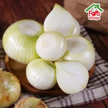 [푸드빌리지] 햇 양파 3kg/5kg/10kg 산지직송, 소, 5kg