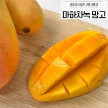 바로보담 마하차녹 무지개망고 2kg 4kg 항공직수입, 4kg(12과수 내외)