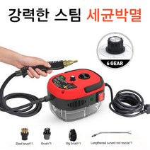 스팀해빙기 배관해빙기 수도녹이기 상업용 고압 스팀 청소, 02 Red_03 UK_02 220V
