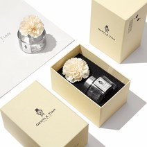 [젠틀티안] 차량용방향제 100ml 디퓨져 + 고급포장 패키지 E. 블루마린, 단품