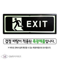 피난구 축광 표지판(EXIT) 비상구유도표지 SMP-09-1, 1개, 혼합색상