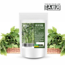 건강스토리 [건강스토리] 국내산 미나리 분말 300g, 1개, 단품없음