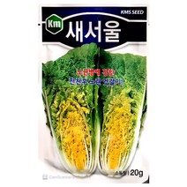 새서울배추씨앗 20g 엇갈이 얼갈이 경종배추 배추씨앗