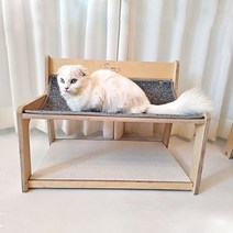 RGU RGU 고양이 벤치
