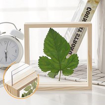 투명 식물 표본 압화 액자 2p 정사각 8인치 아크릴 원목 우드 누름 꽃 생화 드라이플라워