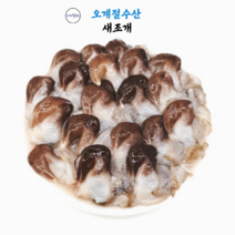 [오계절수산] 내장제거 손질 새조개 (500g/1kg), 500g, 1개