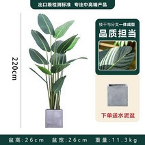 인조 바나나나무 인조목 모조 야자 관엽 휴양지 식물, 여행자 바나나 높이 220cm