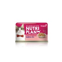 뉴트리플랜 고양이캔 160 g, 흰살참치 + 연어 혼합맛, 160g, 12개