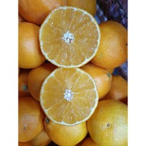 제주도 황금향 하우스 고당도 감귤 산지직송 가정용 선물용 꼬마감귤 3kg 5kg, 하우스 감귤, 중과(선물용) 5kg