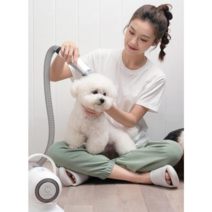 샤오미 다용도 펫 클리퍼 강아지 고양이 빗질 제모 청소흡입