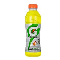 칠성 갈증해소 아미노산 게토레이 레몬 페트 스포츠음료 이온음료 600ML 20개, 16세트