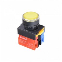 1A1B 푸쉬온 자동 복귀 리턴 스위치 트랜스부착형 220V DC LED ON-(ON) 22mm NS22-BM-L4D1A1B푸쉬 자동 복귀 리턴 스위치, 레드 [NS22-BM-L4DR1A1B]