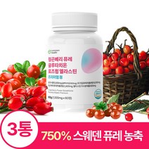 유럽산 링곤베리 퓨레 로즈힙 글루타치온 엘라스틴 커먼헬스 60정, 3통(6개월분)