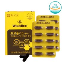 호주 프로폴리스 플라보노이드 아연 셀렌 면역 항산화 영양제 500mg x 60캡슐, 2개