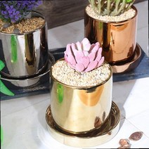 금색 화분 다육이 메탈 인테리어 미니 화분 원형화분 세라믹화분 골드화분 실버화분, 실버 옵션선택