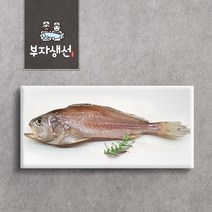 제수용 반건조 침조기 소 중 대 특대 (망미중앙시장 부자생선), 침조기41cm1마리, 1개