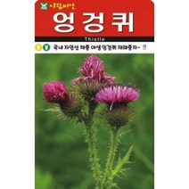 아람종묘 엉겅퀴 씨앗 100립