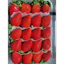 죽향딸기 산지직송 프리미엄 명품 논산딸기, 1kg, 1개