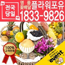 과일바구니 출산 병문안 문병 집들이 선물 예단 이바지 당일배송, (선택01)과일바구니①