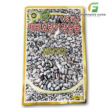 파머스케어 제비호랑이강낭콩30g - 제비호랑이강낭콩씨앗 강낭콩씨앗 콩씨앗 KS종묘 수량많고 색상우수 얼룩이강낭콩 강낭콩 보양작두콩 백태 백미작두콩 녹두 동부 야채 채소 씨앗, 1개