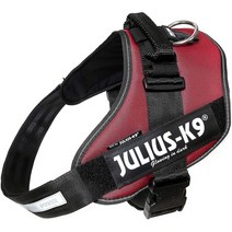 일본직발송 4. 율리우스 케나인 (Julius-K9) 율리우스 케나인 IDC 파워 하네스 보르도 사이즈 3 B01LWXTWX, 크기 3_One Color, One Color
