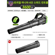 블로워 무선 청소기 배풍기 낙엽 집진기 먼지 송풍기 대포, DS 인더스트리 3600W-6단 속도조절