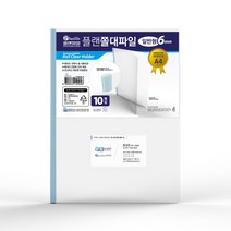 인터탑 플랜파일 쫄대화일 레일홀더 고투명 A4 A3 군자형, 1팩, 인터탑 쫄대파일 A3 (군타입/10개입)