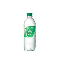 기타 칠성사이다업소용500ml20입/SH, 단일