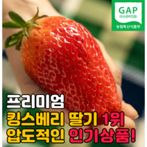 설향 킹스베리 딸기 논산 산지직송, 킹스베리 - 왕특 40~59g(16알~20알)(2팩)