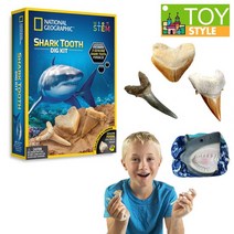 토이스타일 내셔널지오그래픽 화석발굴 상어이빨, NGO화석발굴(대)-상어이빨, NGO화석발굴(대)-상어이빨, NGO화석발굴(대)-상어이빨