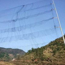 메쉬 원예 그물 울타리 농장 블랙 나일론 안티 새 사냥 잡기 정원 도구 야채 과수원 포도원, 8 pockets wide, Black, [01] Black