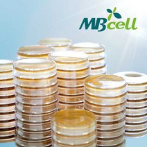 Yeast Extract Peptone Dextrose (YPD) Agar Plate/ MBcell 미생물 배지/ 생배지-제조된 배지/ 곰팡이 배양배지, 50Ea