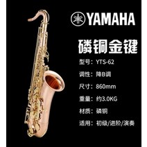 튜브 악기 파이프 초보자를 위한 정품 Yamaha 테너 yts-875ex62 색소폰, Yamaha yts-62 미드레인지 인청동