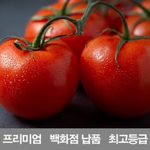 국내산 토마토 프리미엄 백화점 납품 1kg 2kg 3kg 5kg 10kg