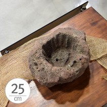 석부작 화산석 화분 (3호.대) 약 25cm