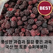 새콤달콤 풍성한 과즙 햇 토종 블랙베리 슈퍼복분자 3kg 5kg 복분자주 복분자액기스 복분자잼 벌크 대용량, 23년 햇 슈퍼복분자(블랙베리)벌크5kg, 1개