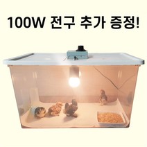병아리 미니메추리 앵무새 육추기 집 키우기 사육통 햄스터 도마뱀 파충류 고슴도치 케이지 통 완전조립 육추기세트, 완전조립 세트상품